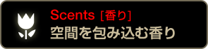 Scents [香り] 空間を包み込む香り