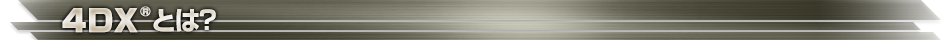 4DXとは