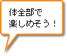 体全部で楽しめそう！