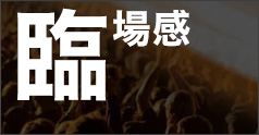 臨場感