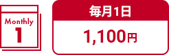 毎月１日 1,100円