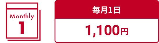 毎月１日 1,100円