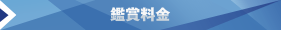 鑑賞料金